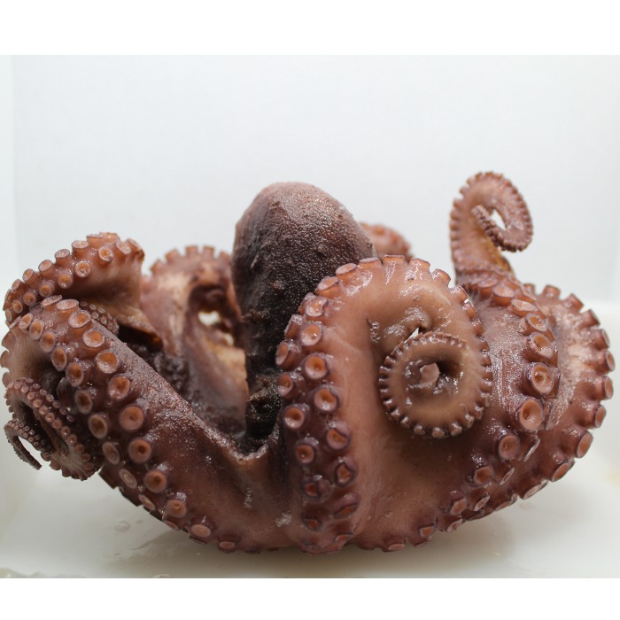 Pulpo entero