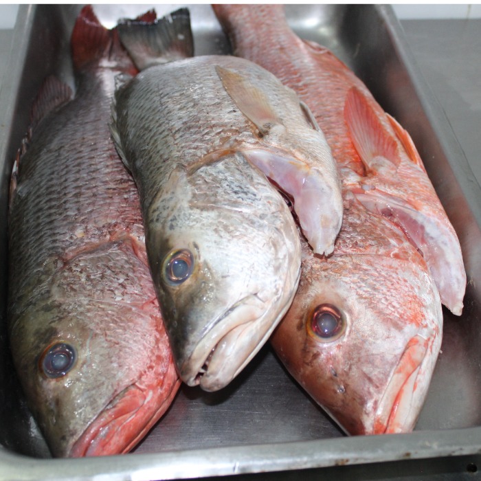 Pargo Entero